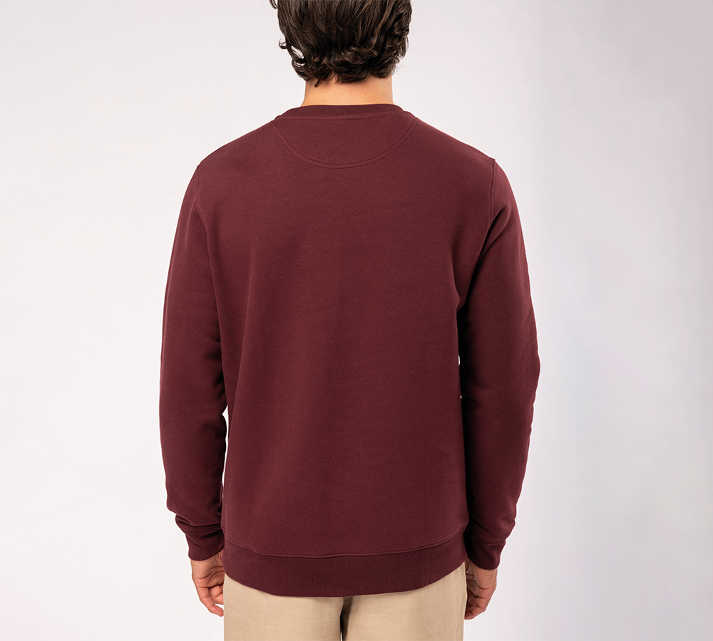 Absorberen kader Kameraad NS400 - Premium ORGANIC COTTON unisex trui ontwerpen en bedrukken | Shirt  Discounter