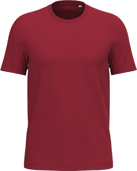 NS300 – Unisex premium ORGANIC COTTON T-shirt ontwerpen en bedrukken 464501