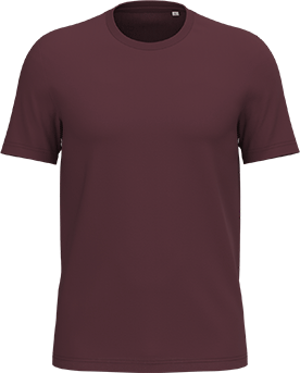 NS300 – Unisex premium ORGANIC COTTON T-shirt ontwerpen en bedrukken 464519