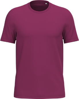 NS300 – Unisex premium ORGANIC COTTON T-shirt ontwerpen en bedrukken 464545