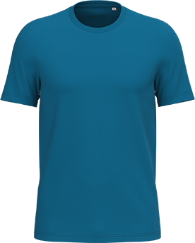 NS300 – Unisex premium ORGANIC COTTON T-shirt ontwerpen en bedrukken 464551