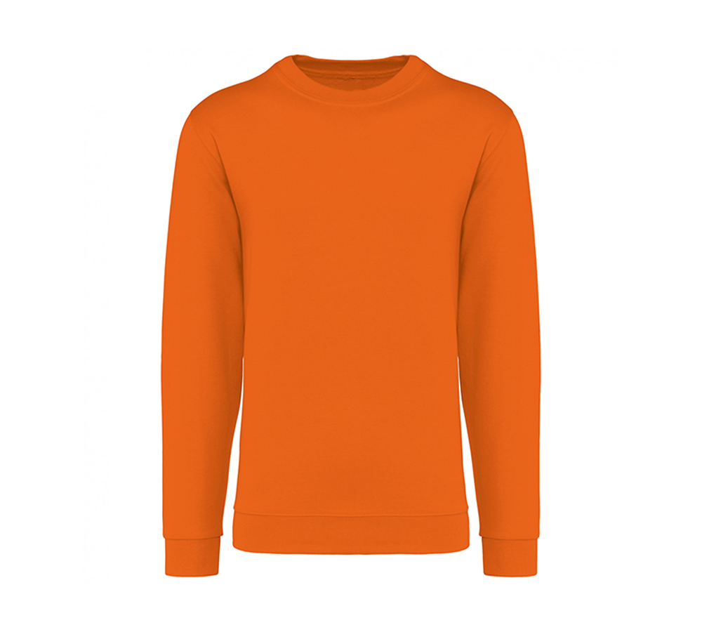 koningsdag - unisex trui ontwerpen en bedrukken - goedkoop bedrukt t-shirt