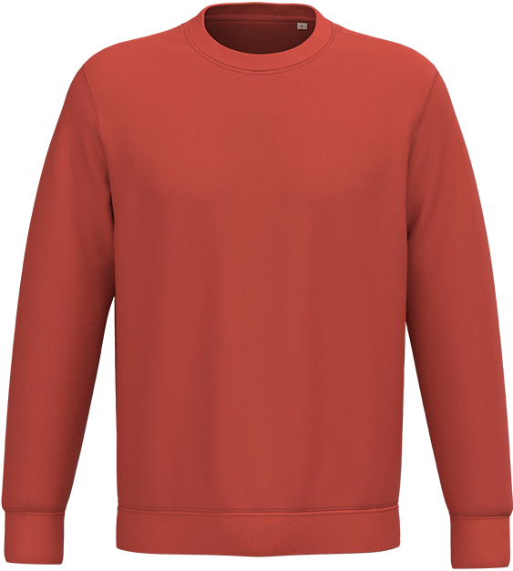 NS400 – Premium ORGANIC COTTON unisex trui 466101