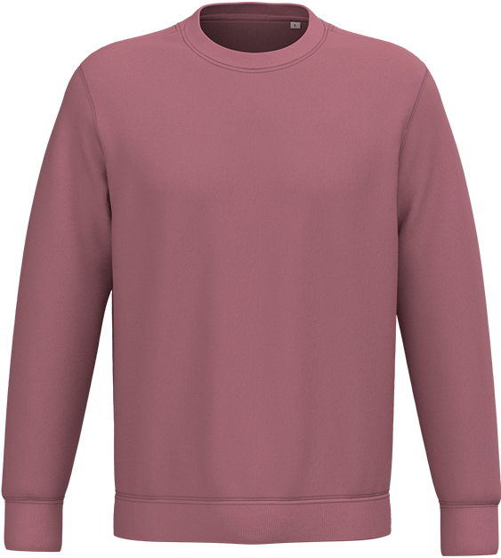 NS400 – Premium ORGANIC COTTON unisex trui 466107