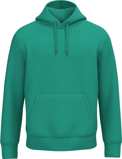 NS401 – Premium ORGANIC COTTON unisex hoodie 466168