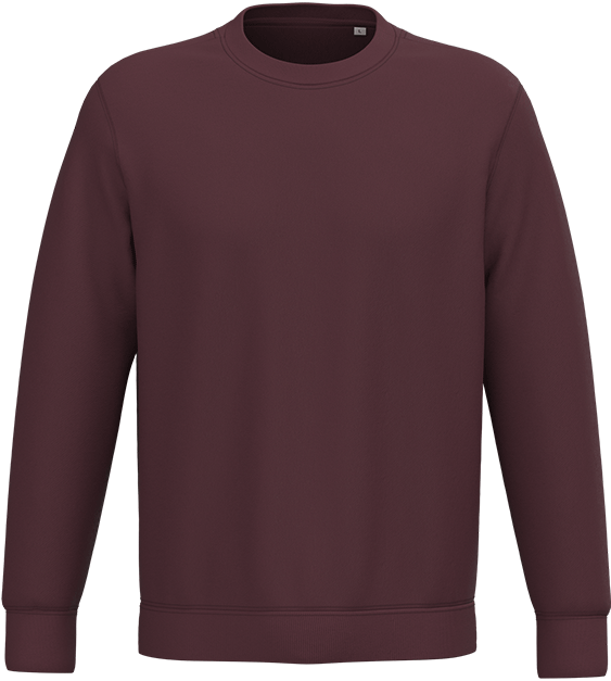 NS400 – Premium ORGANIC COTTON unisex trui 466128