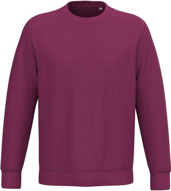 NS400 – Premium ORGANIC COTTON unisex trui 466130