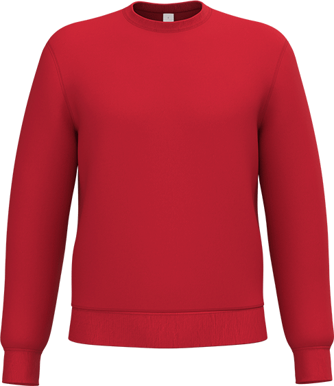 IB400 – Budget unisex sweater 460811