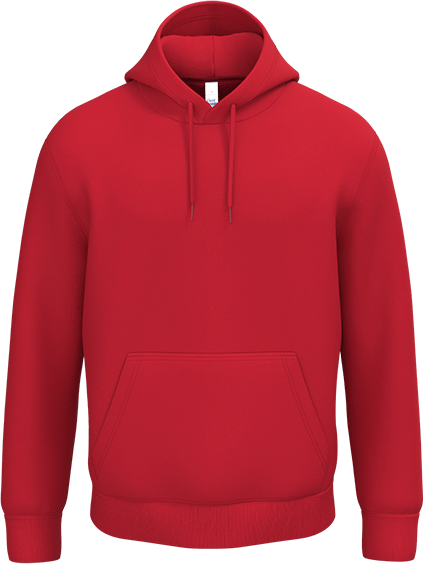 IB402 – Budget unisex hoodie 460821